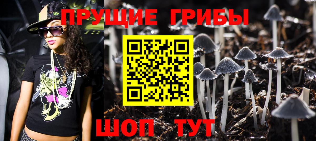 Миллерово  Псилоцибиновые грибы прущие грибы  Галлюциногенные грибы Magic Shrooms  Вход с VPN 